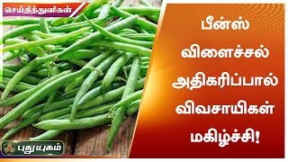 பீன்ஸ் விளைச்சல் அதிகரிப்பால் விவசாயிகள் மகிழ்ச்சி | கொடைக்கானல் | செய்தித் துளிகள் | PuthuyugamTV