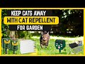 Best Cat Repellent For Garden - Keep Those Pesky Cats Away!