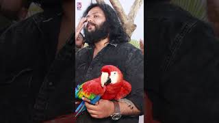 Macaw Parrot Price in Hyderabad 😱👌#macawparrot #macawbird #birdshow #hyderabad #talkingparrot