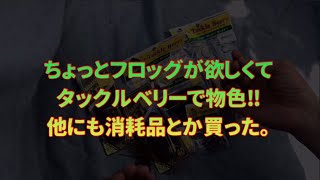 飛距離テストのあとフロッグ買いにTBへ・シンキングフロッグ??