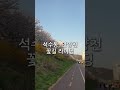 2021 봄 석수동 안양천 1분 꽃길 라이딩 영상 2021 spring flower road riding video