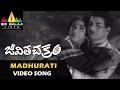 Jeevitha Chakram Video Songs | Madhurati Madhuram Video Song | NTR, Vanisri | Sri Balaji Video