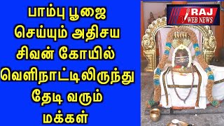 🔴  பாம்பு பூஜை செய்யும் அதிசயசிவன் கோயில் வெளிநாட்டிலிருந்து தேடி வரும் மக்கள்