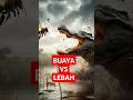 BUAYA VS LEBAH JADI APA? #short #shortsviral #shorts #shortsfeed #shortvideo #shortsvideo