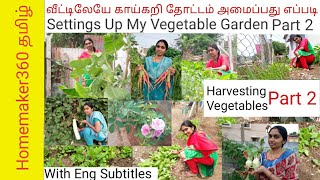 வீட்டுத்தோட்டம் பராமரிப்பு மற்றும் காய்கறி அறுவடை  |  How to Grow Vegetables in Home Part 2