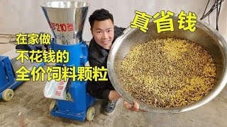 在家制作营养丰富的颗粒饲料，养牛羊效果好，关键还省钱