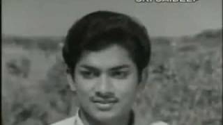 E Divilo Virisina- Telugu Movie Kanne Vayasu_1973_ Full HD Video Song - YouTube.mp4