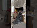 plastering in montreal