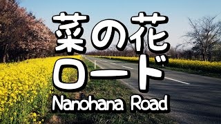 大潟村の菜の花ロード - Nanohana Road in Oogata Village