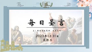 【每日圣言】2023年1月23日 星期二