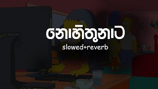 නොහිතුනාට || Nohithunata slowed and reverb || Sinhala songs