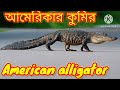 amphibian animals name in english উভচর প্রানী land and water animals for kindergarten amphibian list