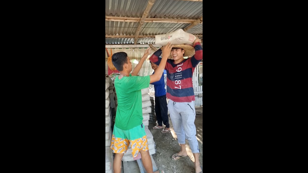 House Vlog Update Youtube