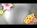 Full HD Flower animation background