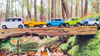 【トミカ】ミニカーとはたらくくるまが森の奥にある一本道を探して競争だ！ Tomica’s cars are racing deep into the forest！