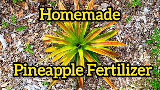 Pineapple Fertilizer: Free Homemade Recipe
