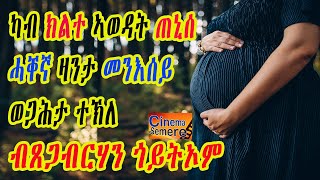 Cinema Semere  Entertainment : ካብ ክልተ ኣወዳት ጠኒሰ ሓቐኛ ዛንታ መንእሰይ ወጋሕታ ተኽለ By Tsegabrhan Goitom ብጸጋብርሃን