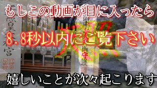 ※今から8秒以内ご覧下さい　激烈にヤバい!黄色い種13日間の影響でもう一段別次元へ進みます!何故か嬉しい事ばかり続く次元へ　今です!もう一度ここで夢目標を思い描きましょう　願いが叶う設定で開運波動です