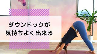 正しいダウンドックのやり方！！#ヨガ#エアリアルヨガ #ヨガ動画 #佐野市