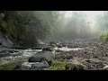 Beautiful Nature. Music by Daniel Deuschle