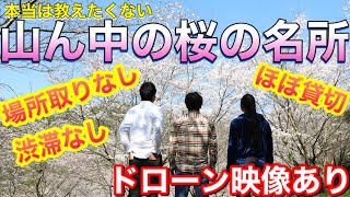 #16【地域密着】本当は教えたくない！山ん中の自慢の桜の名所紹介！ドローン映像あり！次回予告も必見