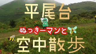 【平尾台×ドローン空撮🐝】#YAMAP動画コンテスト2021 緑豊かな平尾台〜あなたも妖精に出会えるかもしれない✨〜