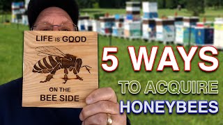 5 Ways to Acquire Honeybees - Beekeeping 101 - for Beginning Beekeepers