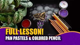 EASY Pan Pastel & Colored Pencil tutorial #coloredpencil