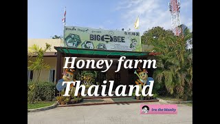 Madu Thailand| honeycomb, Holiday to Honey farm♥️