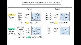 What's the difference between strong/weak and concentrated/dilute acids and bases?