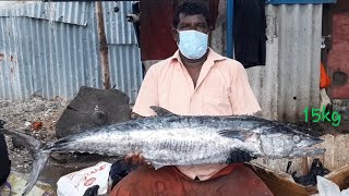 15KG #BIGGEST SEER FISH CUTTING #VANJIRAM MEEN #SUPER CUTTING BIG SLICES #cutting #video