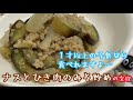 【保育園給食レシピ】ナスとひき肉のみそ炒めを作ってみたよ！１才以上なら食べれる幼児食　保育園でも園児に大人気