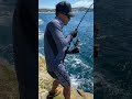 shimano twin power 5000 strong reel test bonito strike