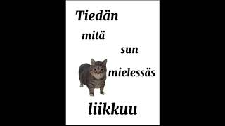 U A I U Tiedän mitä sun mielessäs liikkuu I U A U