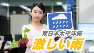 お天気キャスター解説 7月4日(木)の天気