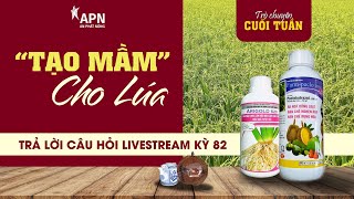 APN - TRẢ LỜI CÂU HỎI LIVESTREAM KỲ 82 – 