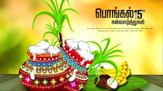 🎑பொங்கல் வாழ்த்து 2023 | pongal whatsapp status tamil 2023 | Happy pongal status tamil | Pongal 2023