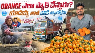 Orange🍊 packing అండ్ లోడింగ్ ఎలా చేస్తారు 🤔యాదయ్య తాత చలికి తట్టుకోవట్లేడు 🚛