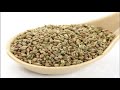 અજમા ના ફાયદાઓ ajmo khava na fayda અજવાઈન ના ફાયદાઓ health benefits of ajwain ajmo