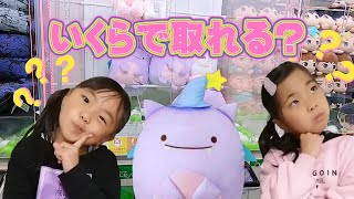 【クレーンゲーム】【すみっコぐらし】新キャラ (ふぁいぶ) いくらで取れる？