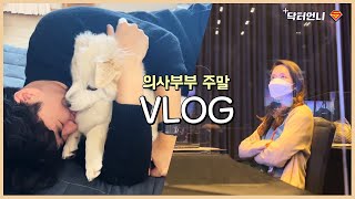 의사부부와 반려견의 주말 Vlog.