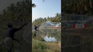 വലയിൽ കിട്ടിയ മീൻ 😨🐟 #shorts #fishing #fish #malayalam