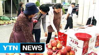 농산물 직거래장터 곳곳 확대 / YTN