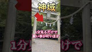 神回⚠️玉置神社※もし逃したら2度とないです！24時間後から良いことが次々と起きます！最強パワースポット #遠隔参拝