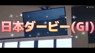 2023/05/28 東京競馬場 日本ダービー(GⅠ)、目黒記念(GⅡ)