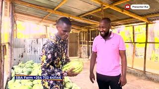 HE MAKES A PROFIT OF OVER 500,000 FROM WATERMELON FARMING IN KILIFI COUNTY