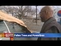 Sacramento Recovering From High Winds Blowing Down Trees