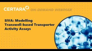 SIVA: modelling transwell-based transporter activity assays