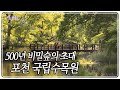 500여 년간 지켜온 비밀의 숲, '포천 국립수목원' [영상앨범 산] KBS 190602 방송