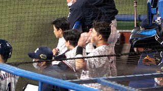 【全球ハイライト版】届かなかった…全て終わった瞬間のヤクルトベンチ 村上宗隆 山田哲人 塩見泰隆 長岡秀樹くん 田口・・・【ヤクルト】【オリックス】【日本シリーズ第7戦】